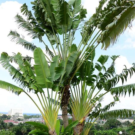 The View At Mystic Ridge Penthouse 78A Apartment Ocho Rios Bagian luar foto