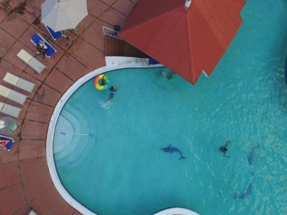 The View At Mystic Ridge Penthouse 78A Apartment Ocho Rios Bagian luar foto