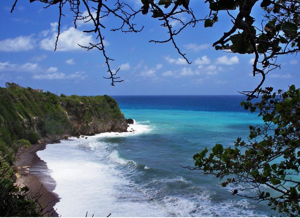 The View At Mystic Ridge Penthouse 78A Apartment Ocho Rios Bagian luar foto